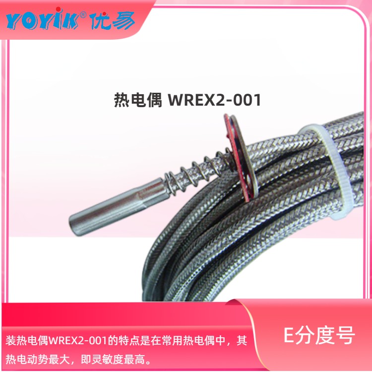 热电偶WREX2-001 热电阻 温度传感器 
